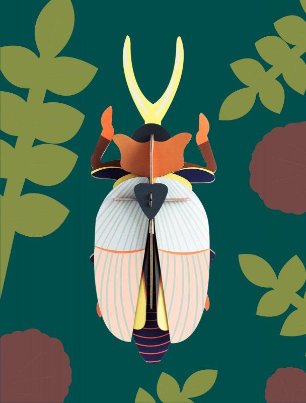 Insecto Grande Rhinoceros beetle