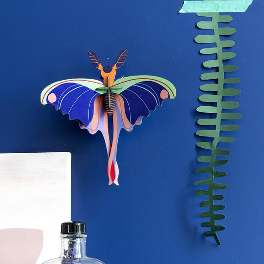 Pequeño Insecto - Blue Comet Butterfly