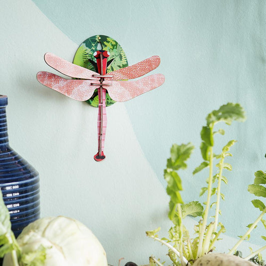 Pequeño Insecto - Pink Dragonfly