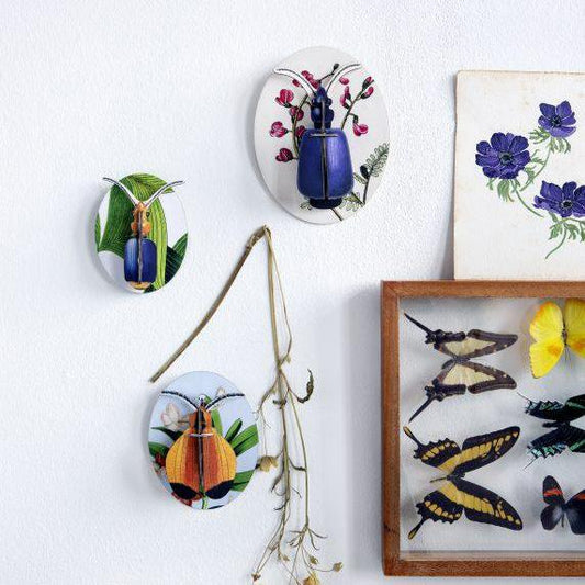 Collectors Box Insects, Dybdahl vol 1