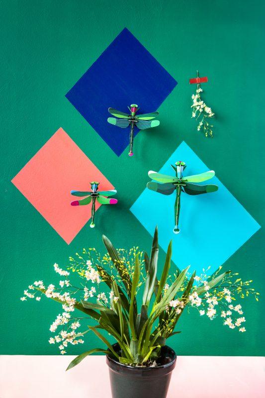 Set de 3 Dragonflies