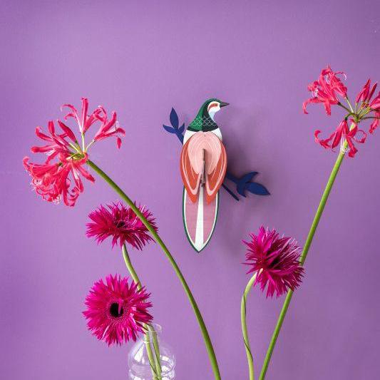 Ave del Paraiso Rani