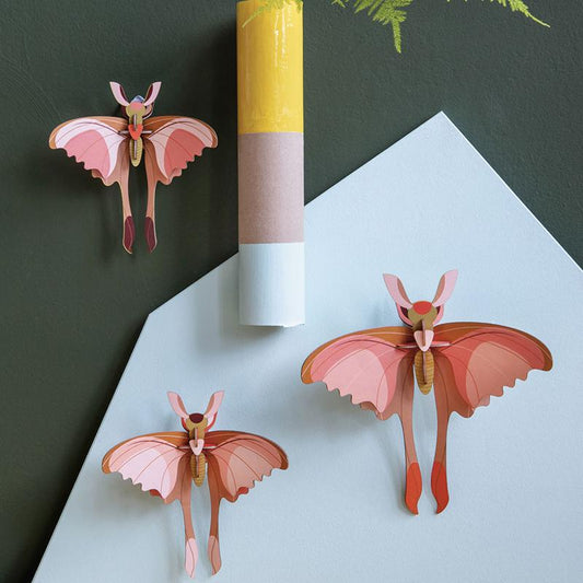 Set de 3 - Comet butterflies