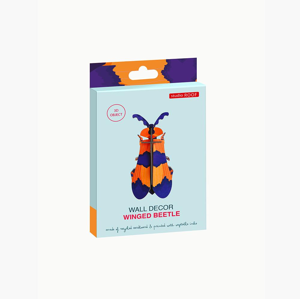 Pequeño Insecto - Winged beetle