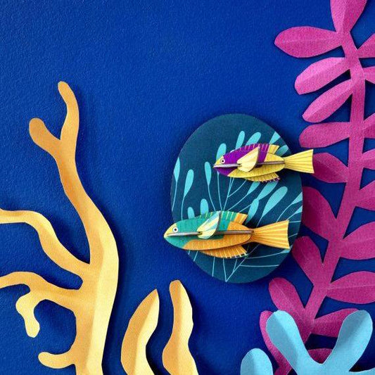 Animales Marinos Spanish Hogfishes