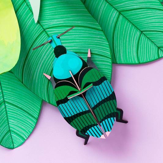 Pequeño Insecto - Weevil Beetle