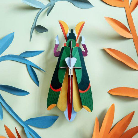 Insecto Grande Grasshopper