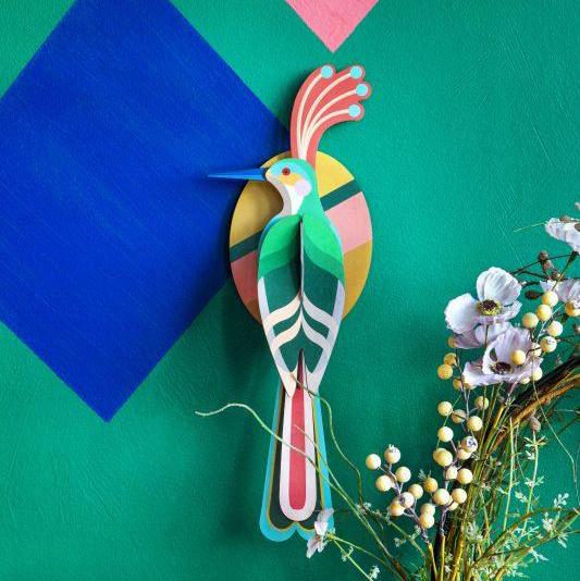 Ave del Paraiso Nias