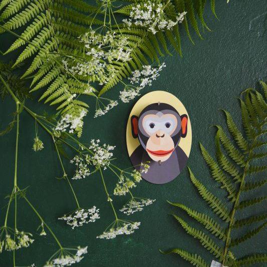 Little Friends Monkey