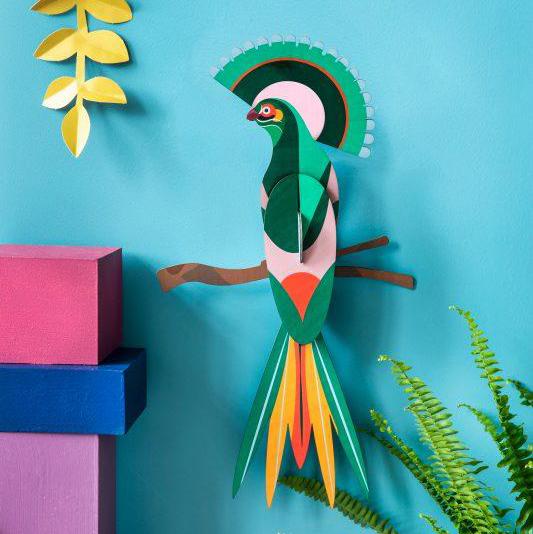 Ave del Paraiso Gili