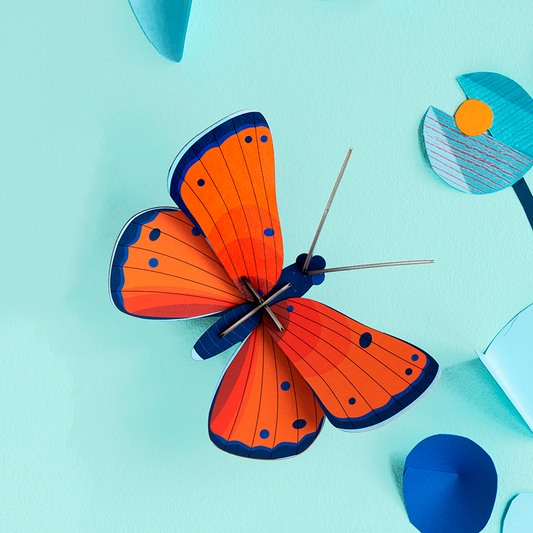 Pequeño Insecto - Copper Butterfly