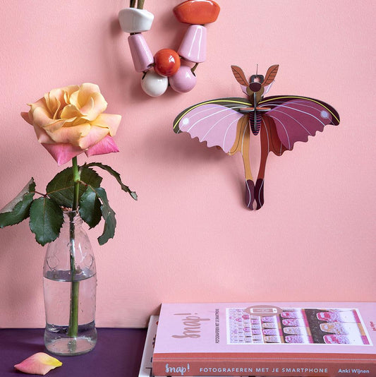 Pequeño Insecto - Pink Comet Butterfly