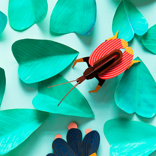 Pequeño Insecto - Violin Beetle