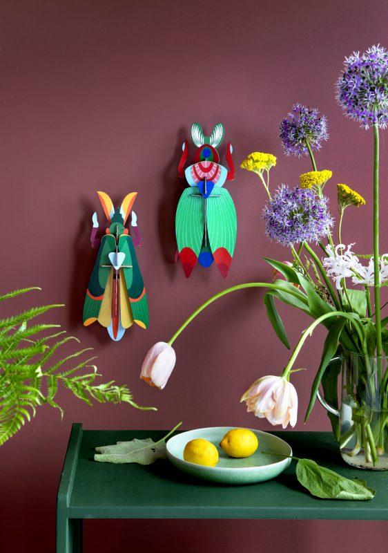 Insecto Grande Grasshopper