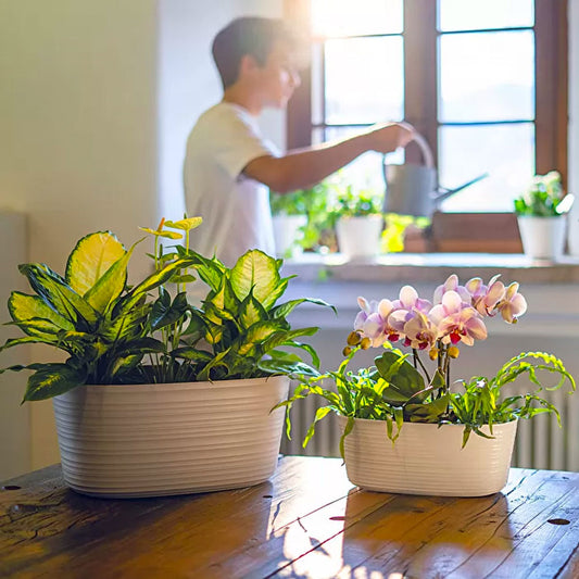 Macetero 'Tierra' Multi Plant Color Blanco