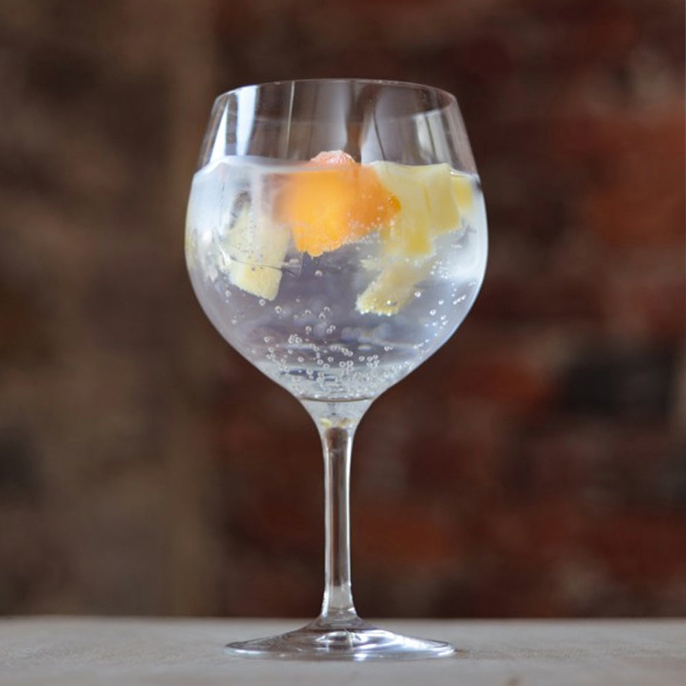 Set 4 Copas Gin Tonic Summer Time