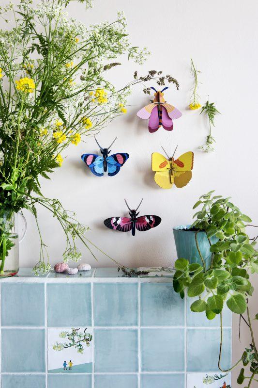 Pequeño Insecto   Pink bee