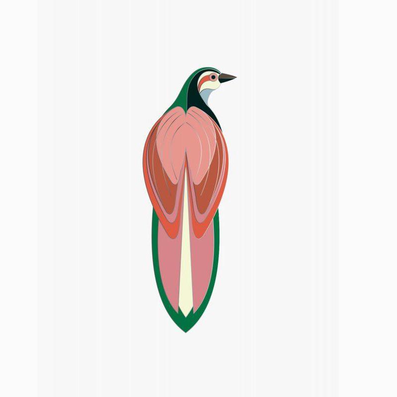 Pin Rani bird