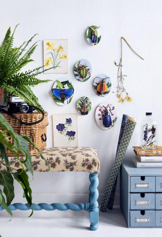 Collectors Box Insects, Dybdahl    vol 1