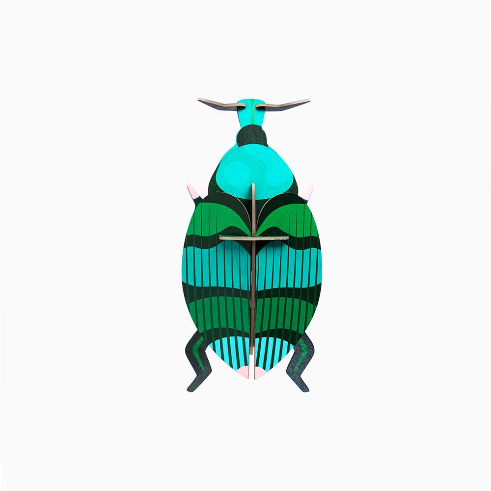 Pequeño Insecto -  Weevil Beetle