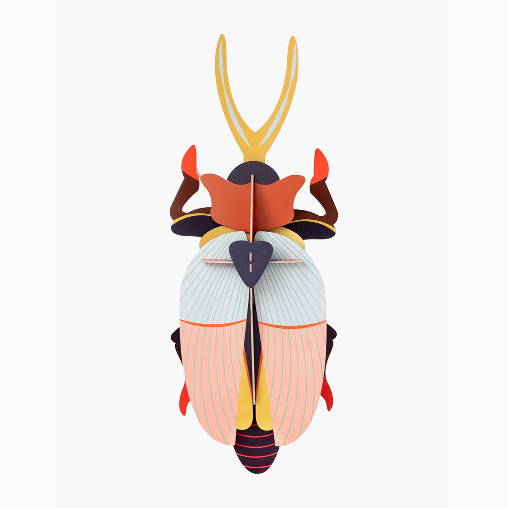 Deluxe - Rhinoceros Beetle