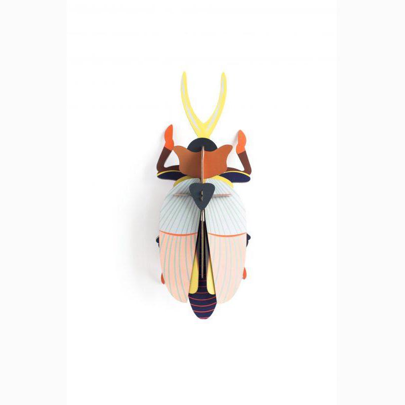 Insecto Grande   Rhinoceros beetle