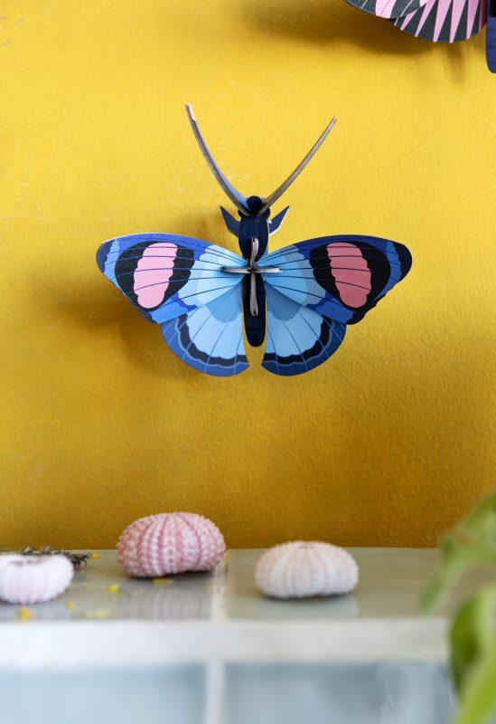 Pequeño Insecto   Peacock butterfly