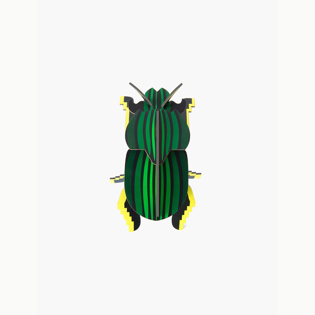 Pequeño Insecto - Scarab Beetle