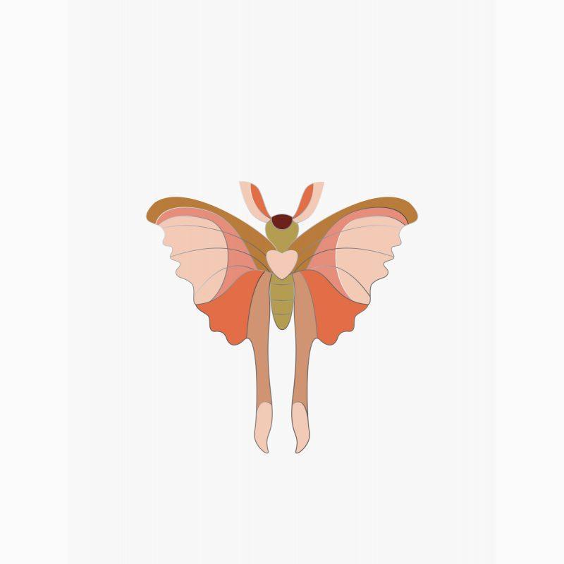 Pin   Comet Butterfly