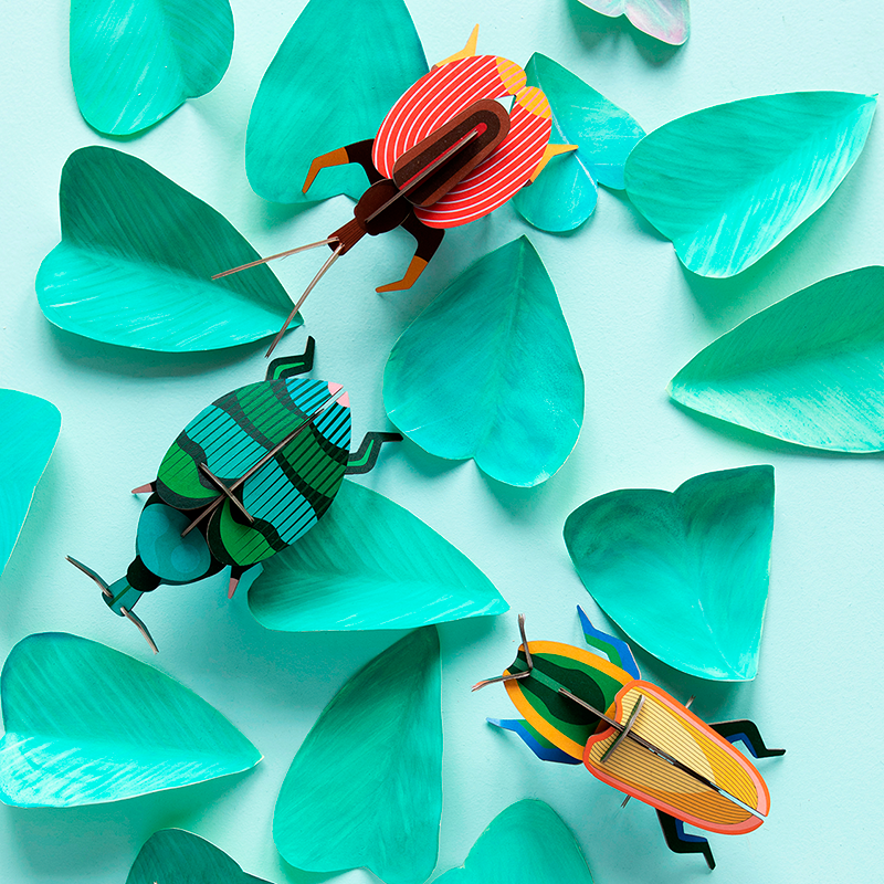 Pequeño Insecto -  Violin Beetle