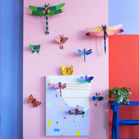 Pequeño Insecto - Sapphire Dragonfly