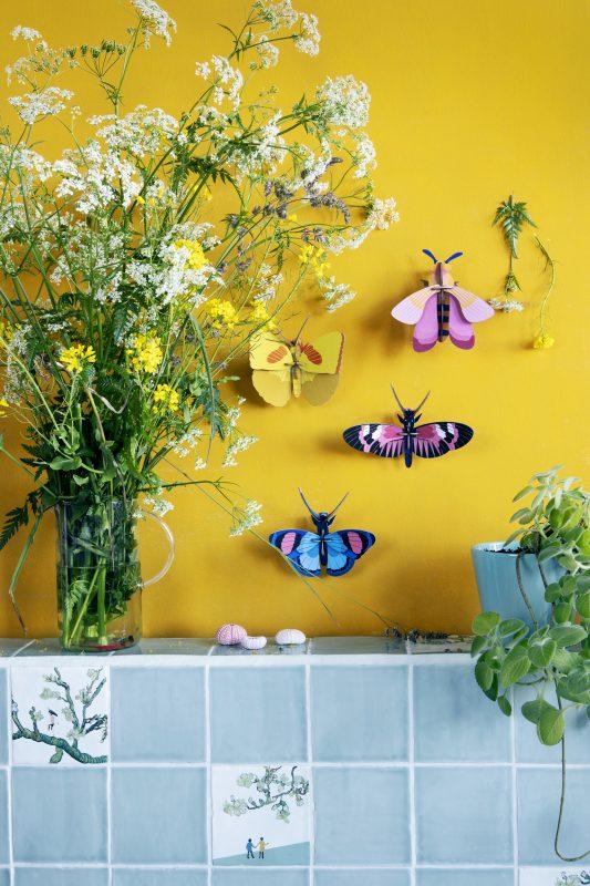 Pequeño Insecto   Pink bee