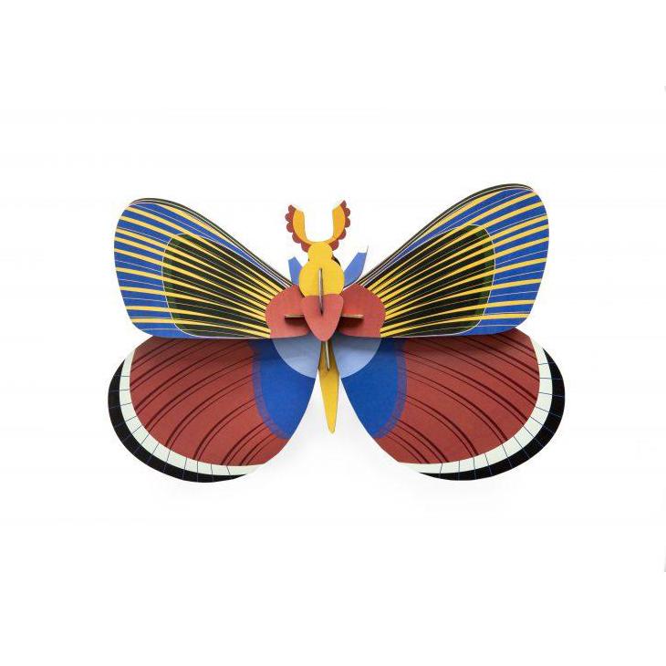 Insecto Grande   Giant Butterfly