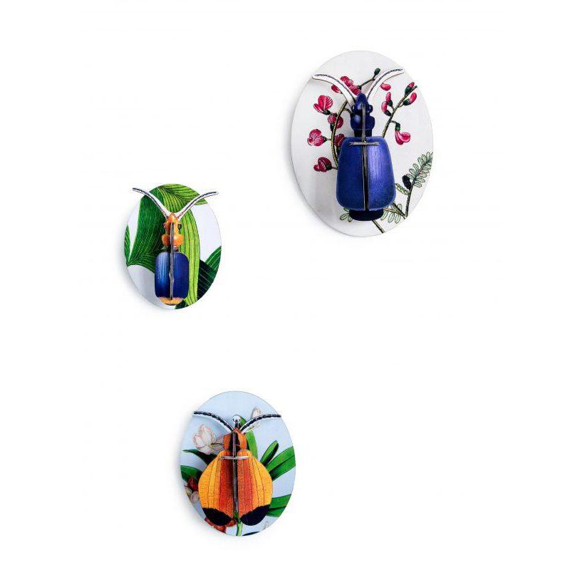 Collectors Box Insects, Dybdahl    vol 1