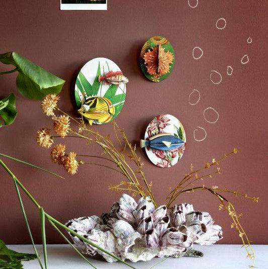 Collectors Box Fishes, Dybdahl    Vol 2