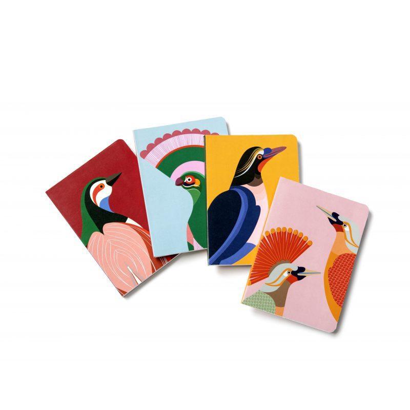 Cuaderno A5 Paradise bird Rani