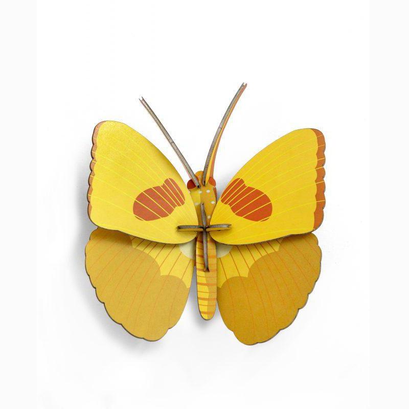 Pequeño Insecto   Yellow butterfly