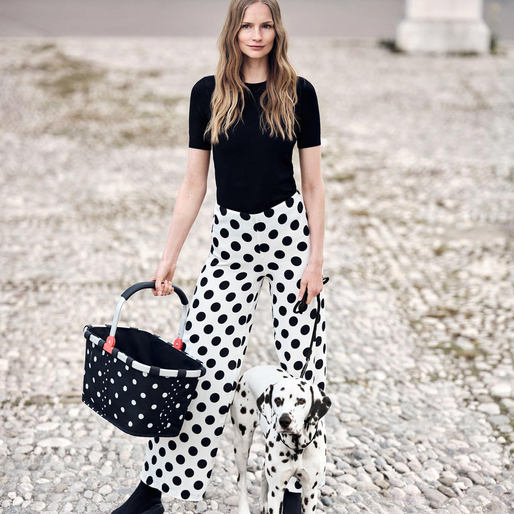 Canasto de Picnic carrybag - mixed dots