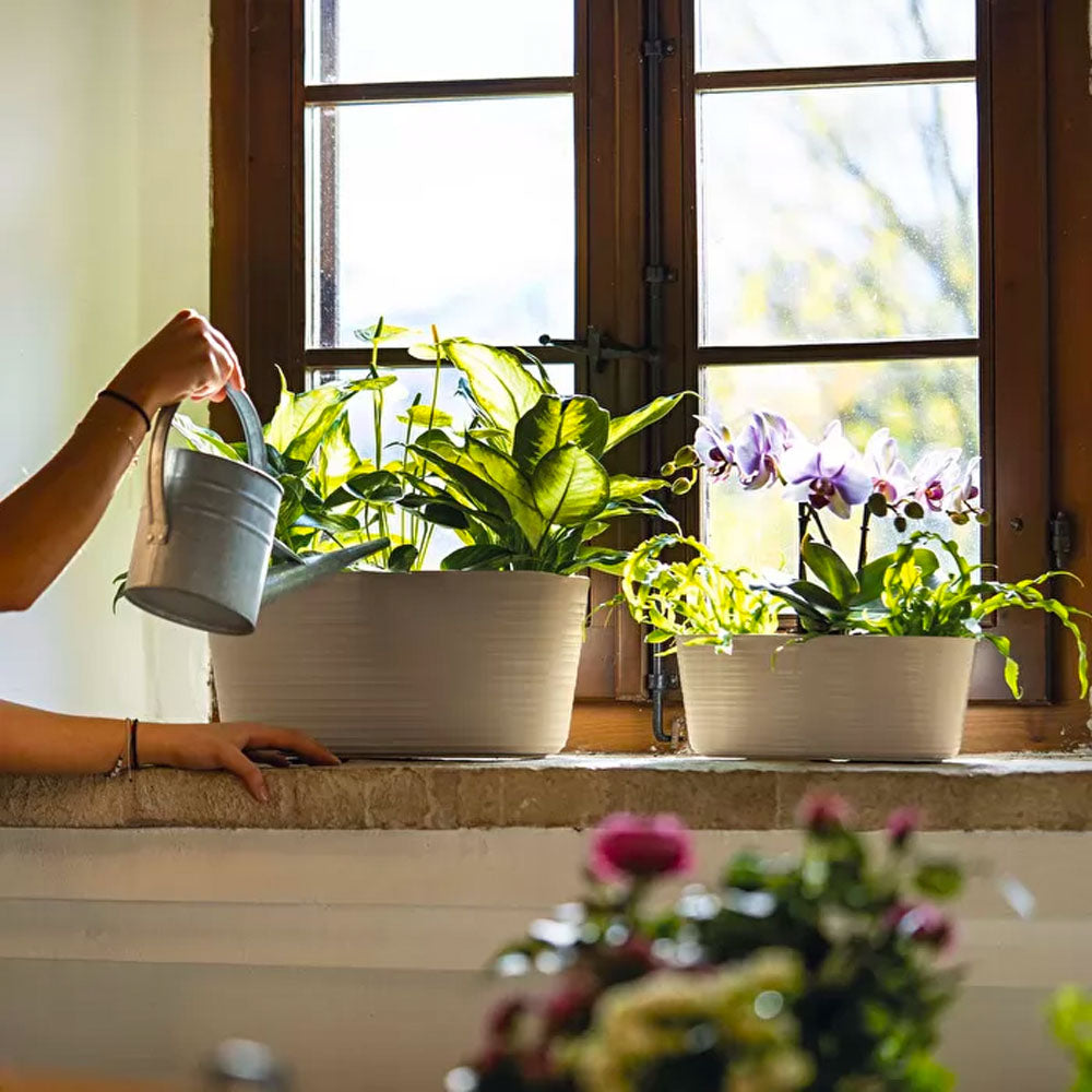 Macetero 'Tierra' Multi Plant Color Latte